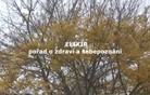Elixír